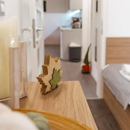 Poganyko Vendeghaz 1 *